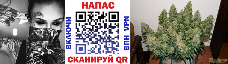 Купить Рудня Бошки Шишки НБОМе Амфетамин ГАШ МЕФ