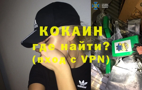 шишки Баксан